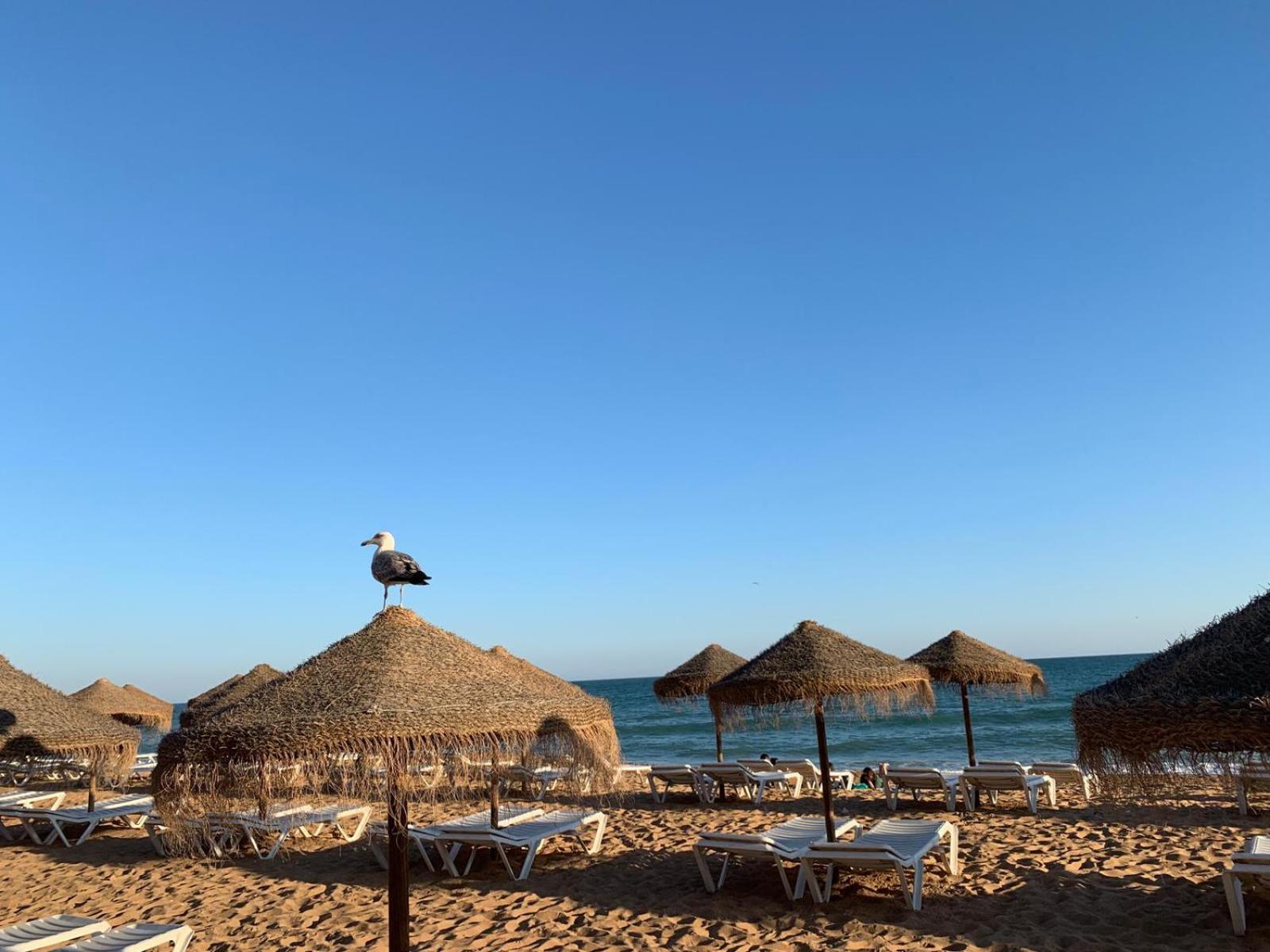 Olimar Sea View Apartment Αλμπουφέιρα Εξωτερικό φωτογραφία